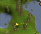 osrs cg simulator|Enjoy this Corrupted Gauntlet practice tool! : r/2007scape .